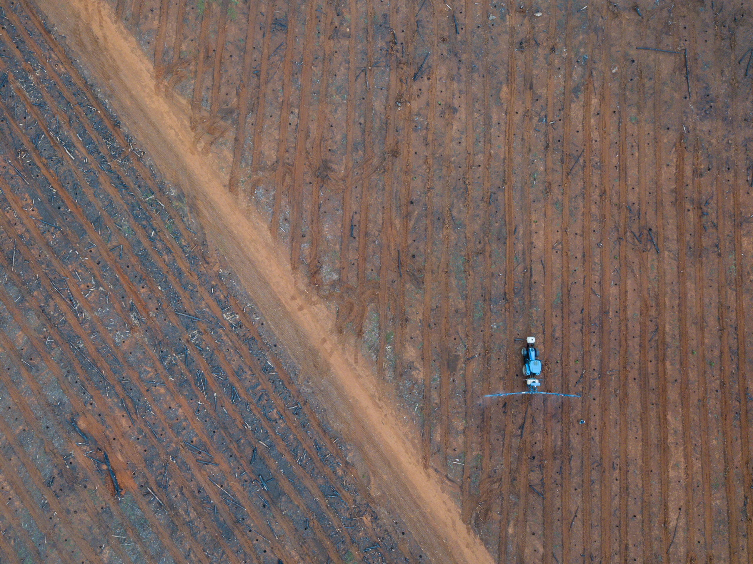 Herbicide Application Pre-planting for Weed Control in the Compartment